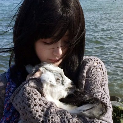 亚瑟与梅林:圣杯骑士